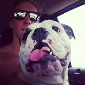 Jack Whittle's photo