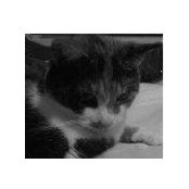 Meg Boyles's photo