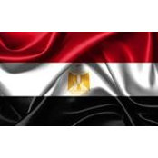 Nermin Berrawy's photo