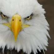 Paul Eberhart's photo