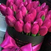 Yara Sayed's photo