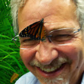 Peter Pennekamp's photo
