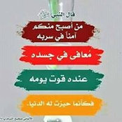 عماد بن نبيةさんの写真