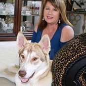 Lorna Shaffer Moelter's photo