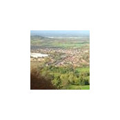 Steph Connelly's photo