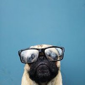 Victor Meinert's photo