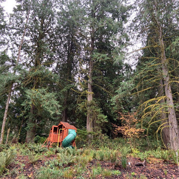 Layered Garden in the Woods