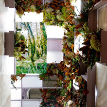 Decorating with Plants