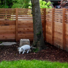 fence