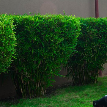 Residential Property Ikoyi Lagos