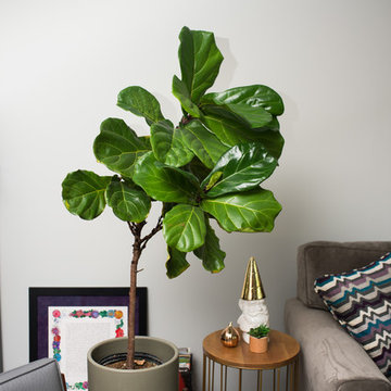 Eclectic & Inviting Living Room Reveal