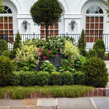 Flower Beds