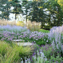 Landscape Design