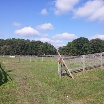 Paddock areas for training at 307 Bacon RD Rougemount NC Exquisite Horse farm On