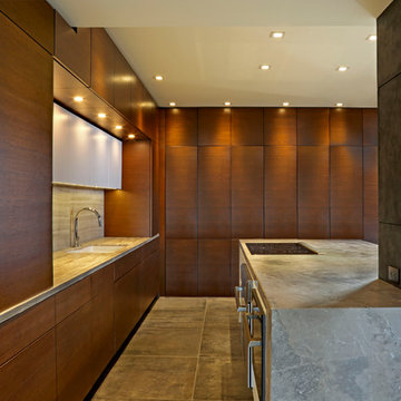 Modern Remodel in Excelsior