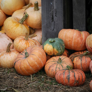 F a r m - Seasonal Autumn