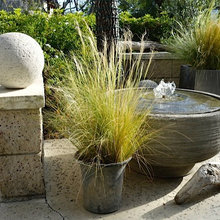 Backyard ideas