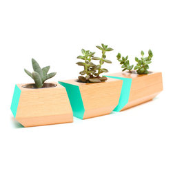 Boxcar Planter - Douglas Fir and Teal - Products