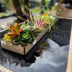 Faux Succulents Displays - Barn renovation - Plants