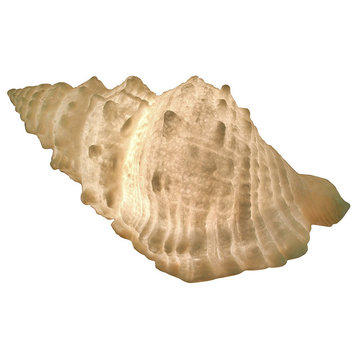 Giant Off-White Decorative Horned Conch Shell Accent Lamp 17 in.
