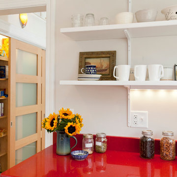 Frosted, Sliding Pantry Doors