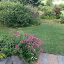 Front garden
