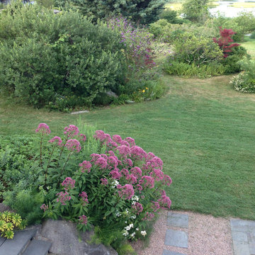 Coastal Rhode Island Garden: Salt Pond Friendly