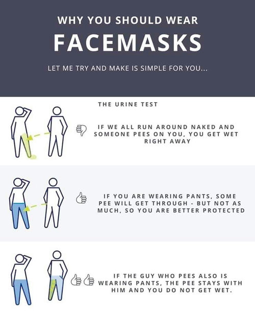 Why to wear a mask (funny/apt/slightly crude)