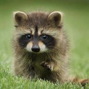 Foto de Annabel Marner