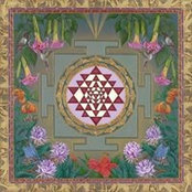 Daphne Yoga's photo