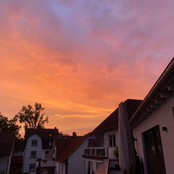 Foto von Sina N.