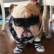 Randee Staats Jr.'s photo