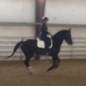 Foto von Christie Bogle