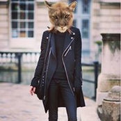 Sara Shnipelson's photo