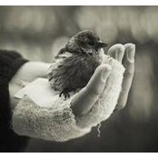 Tunia Gentili's photo