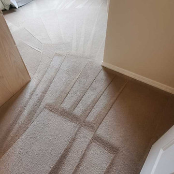 Carpet Cleaning a House Which Has Not Been Steam Cleaned for 8 Years Located in