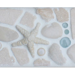 "Starfish - Tidal" 4" Border - Accent Trim And Border Tile