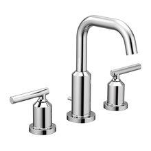 Master Bath Fixtures