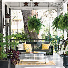 Deck/Backyard/Landscape