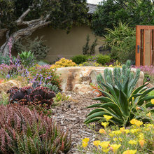Kinsley Landscape
