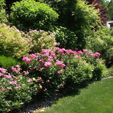 Gardens and Landscape Planting