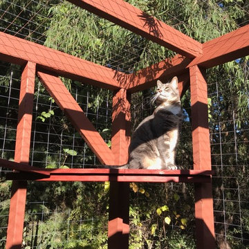 Los Angeles Catio