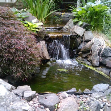 Small Pond with Waterfall