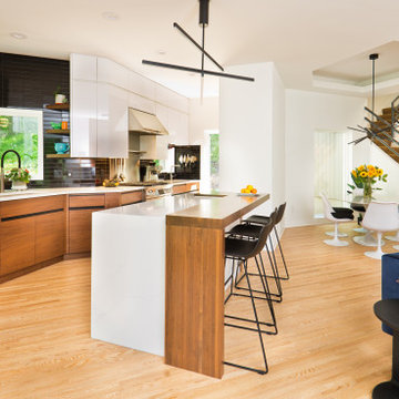 Excelsior Modern Remodel