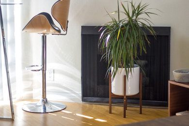Modern Planters