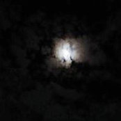 Sunny Krutnet's photo