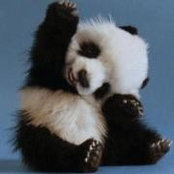 Carol Barlow's photo