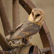 Buffy Maricle Kramer's photo