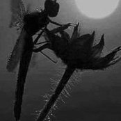 Karen Butcher's photo