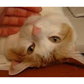 Loretta Clement Symm's photo
